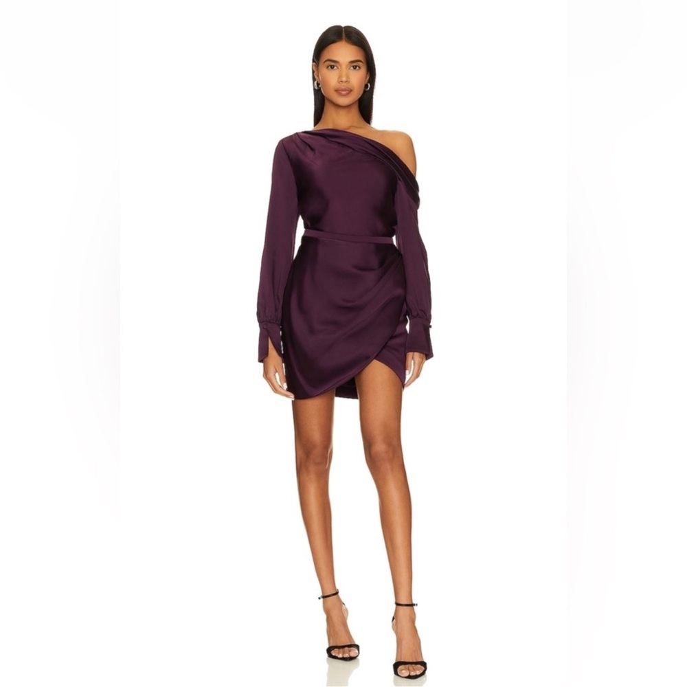 Jonathan Simkhai Cameron Asymmetrical Minidress in Plum
